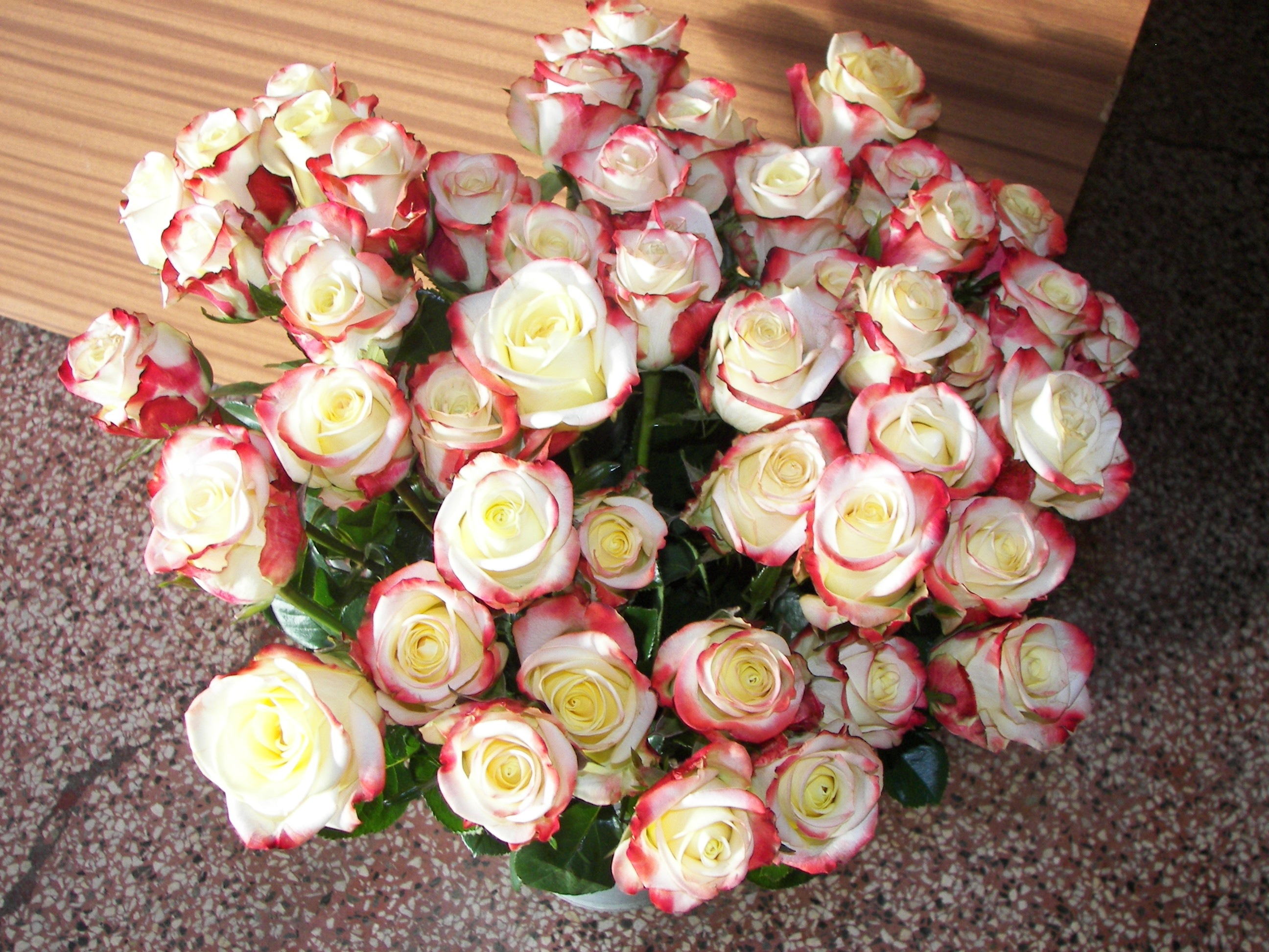 2012 - Jubilanti 016
